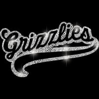 GLT78 SILVER GLITTER Thumbnail